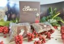 ‘Conquista ES8152’: nova cultivar de café conilon é lançada pelo Incaper ‘Conquista ES8152’: nova cultivar de café conilon é lançada pelo Incaper