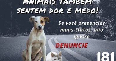 Denúncias pelo Disque-denúncia 181 de Maus-Tratos a Animais Aumentam no ES e Reforçam Ação da Polícia Civil através da Delegacia de Proteção ao Meio Ambiente