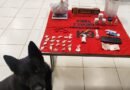 PM apreende entorpecentes e prende suspeito de tráfico em Afonso Cláudio